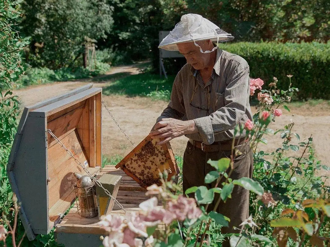 Jardin des abeilles Mirsalehi