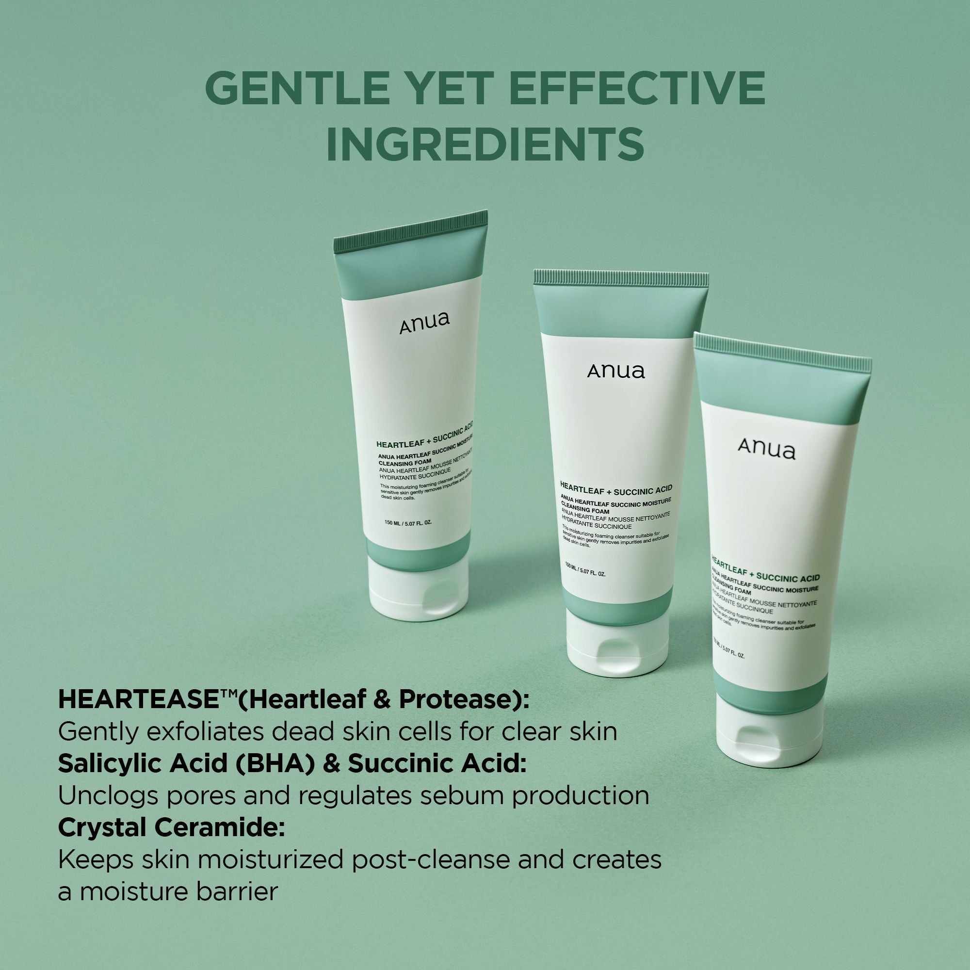 ANUA - Heartleaf Succinic Moisture Cleansing Foam - 150ml