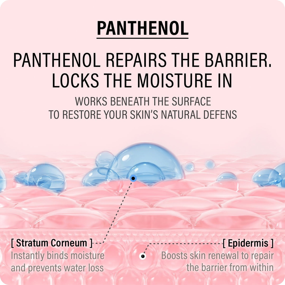 EPII - Double Up Cream ECTOIN & PANTHENOL -50ml
