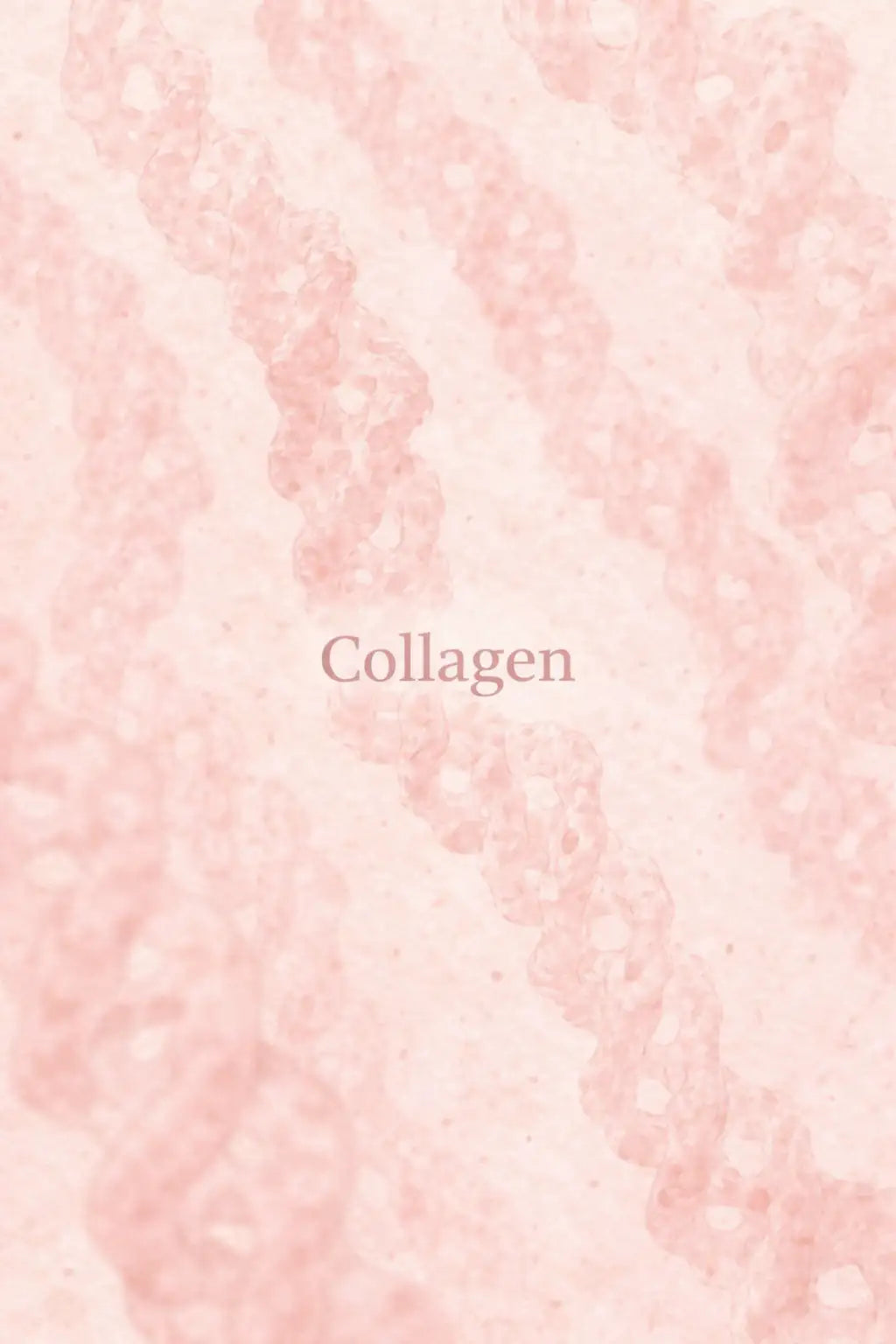 Fibres de collagène roses sous un microscope.