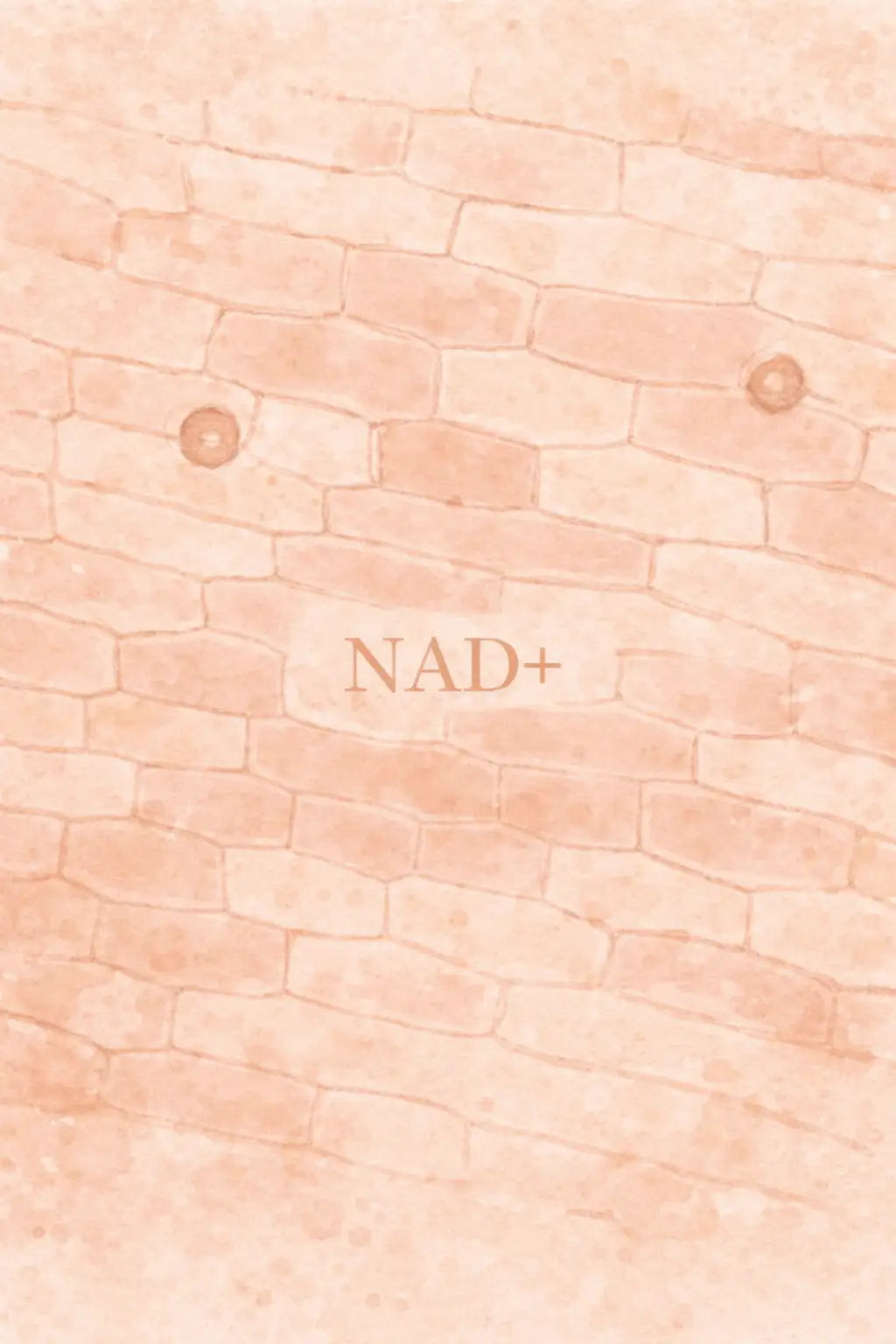 Une illustration douce aux tons pêche de cellules de peau avec le texte « nad+ » centré dans un style chaleureux et texturé.
