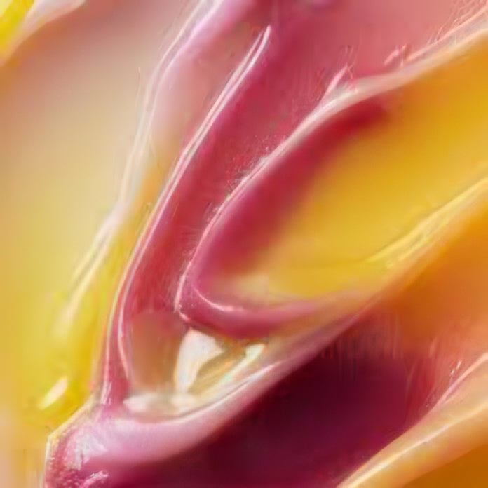 LANEIGE - Lip Sleeping Masque De Nuit Pour Les Lèvres - réf Smoothie Açaï Mangue