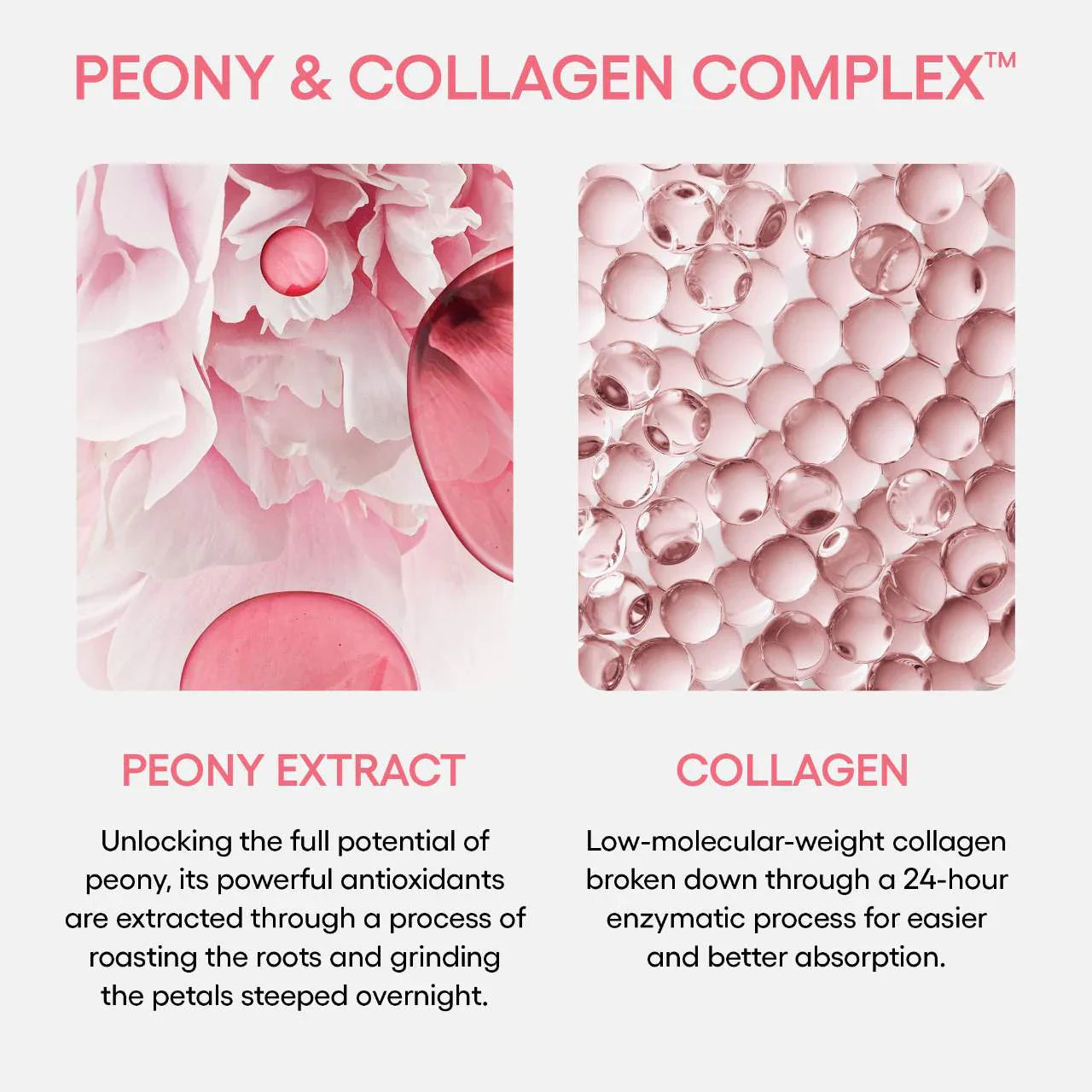 LANEIGE - Plump & Hydrate Trio Set ( 3pcs )