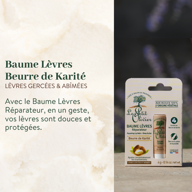 LE PETIT OLIVIER - Baume Lèvres Réparateur Beurre de Karité - 4g