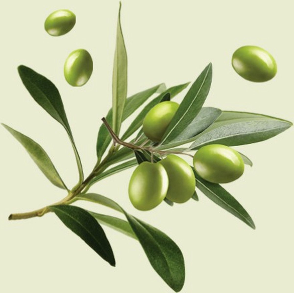 LE PETIT OLIVIER - Crème Mains Hydratante Huile D'Olive - 75ml