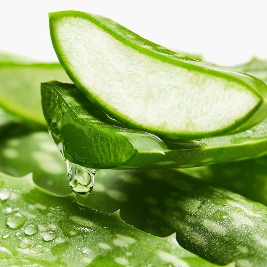 LE PETIT OLIVIER - Shampooing et Après Shampooing Micellaire Purifiant Aloe Vera et Thé Vert - 250ml