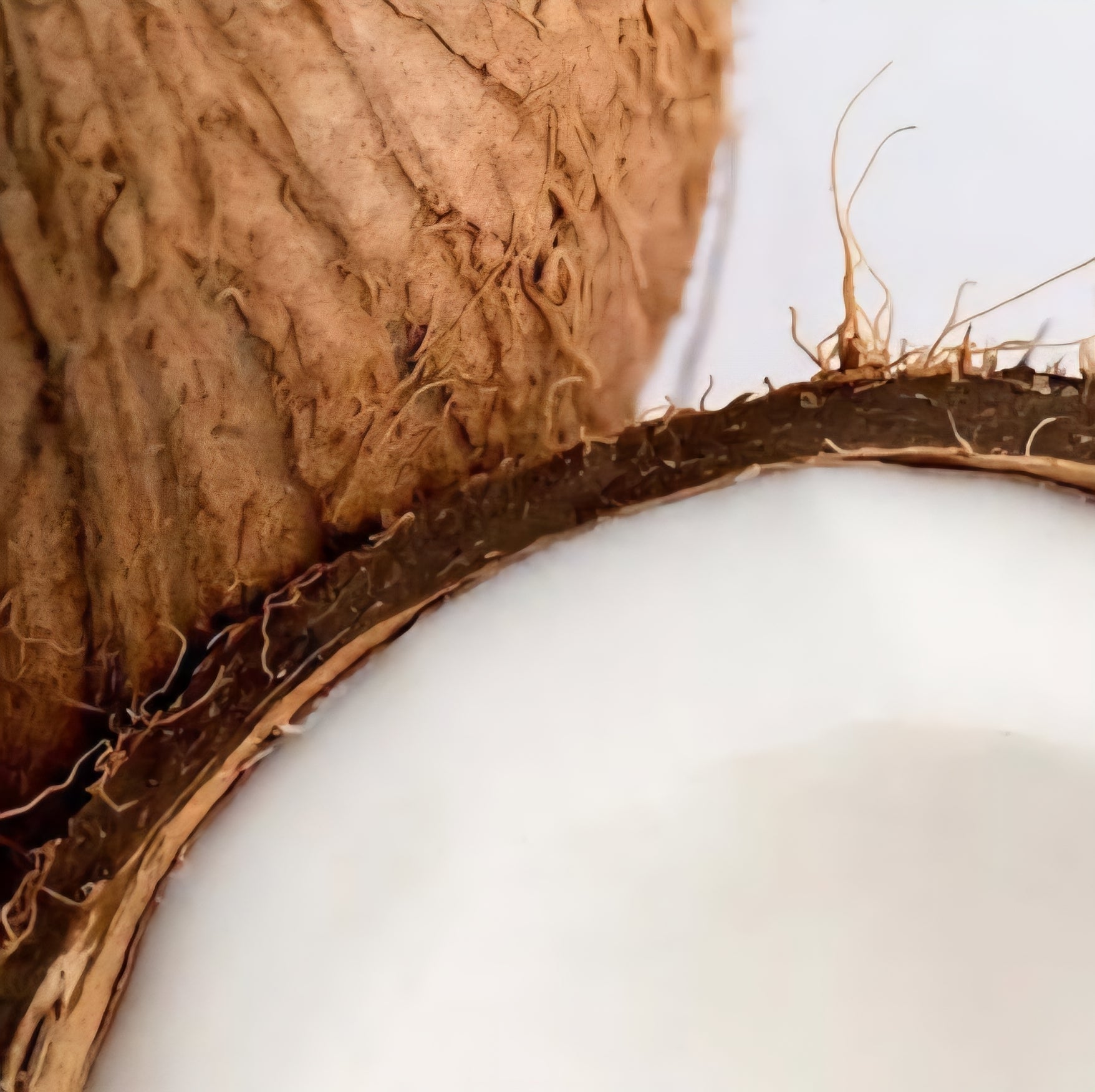 LOVEA - Déo-Soin Solide à l'huile de Coco Bio - 50g
