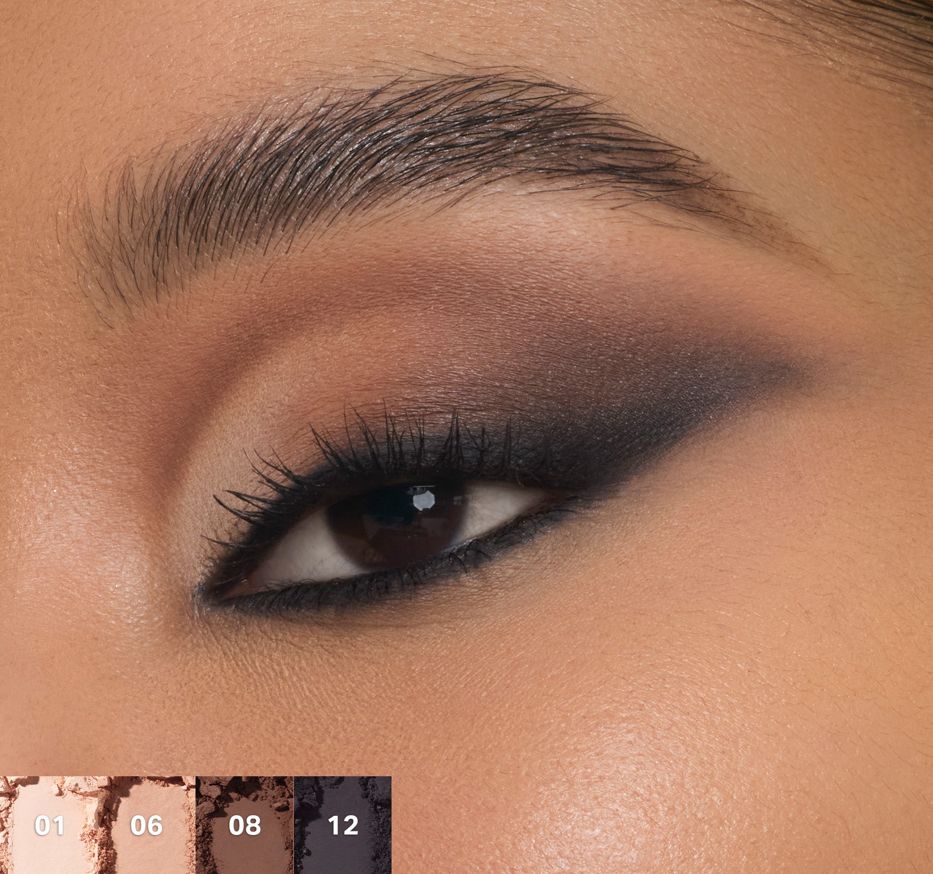 MORPHE - ChromaPlus 12-Pan Eyeshadow Palette - réf Flickering Sands
