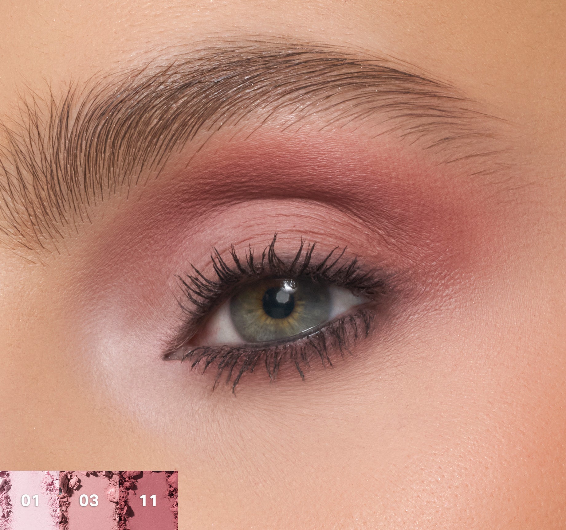 MORPHE - ChromaPlus 12-Pan Eyeshadow Palette - réf Rose Frequency
