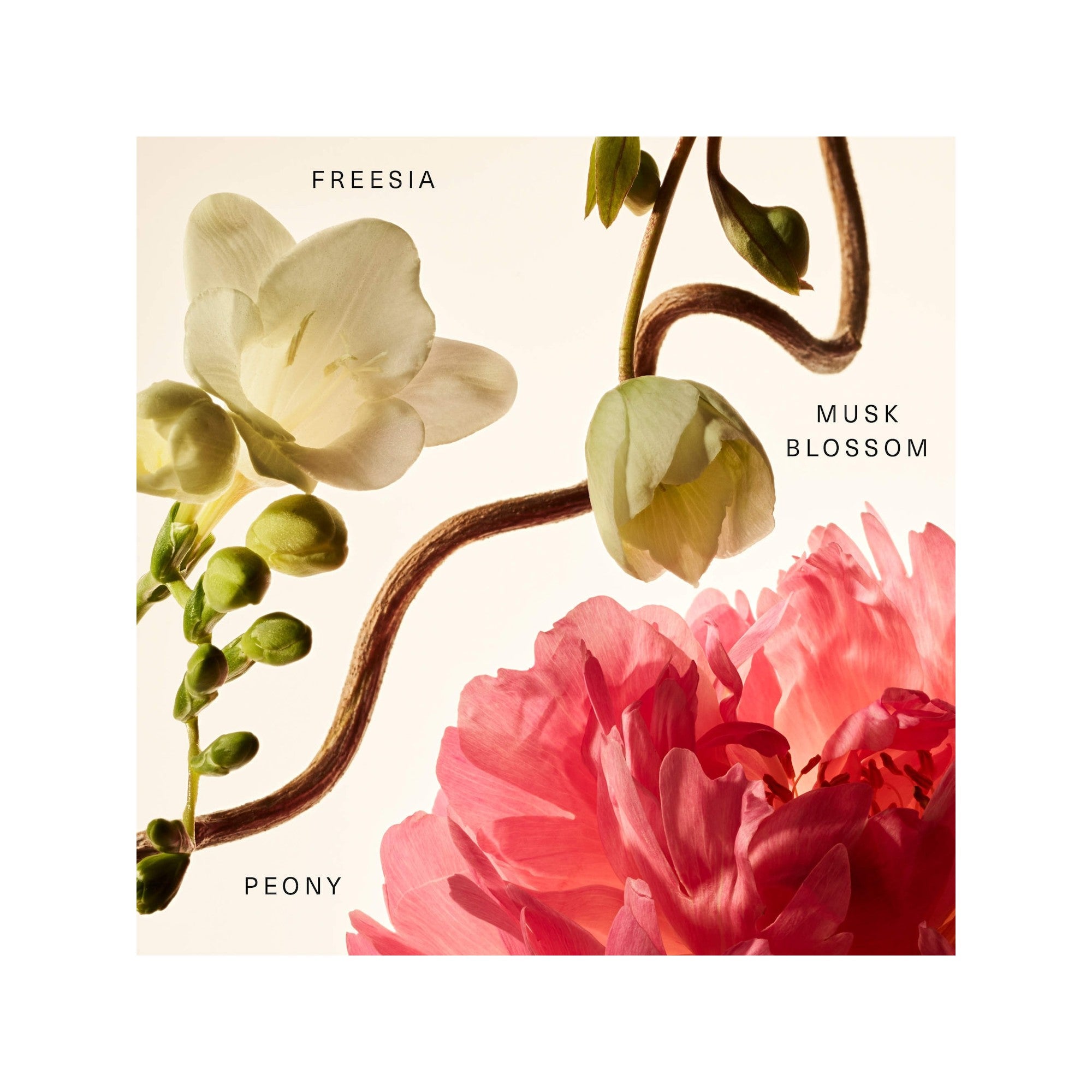 Rare Beauty - Rare Baume Parfumé Layering - réf Floral Peony Blossom - 20ml