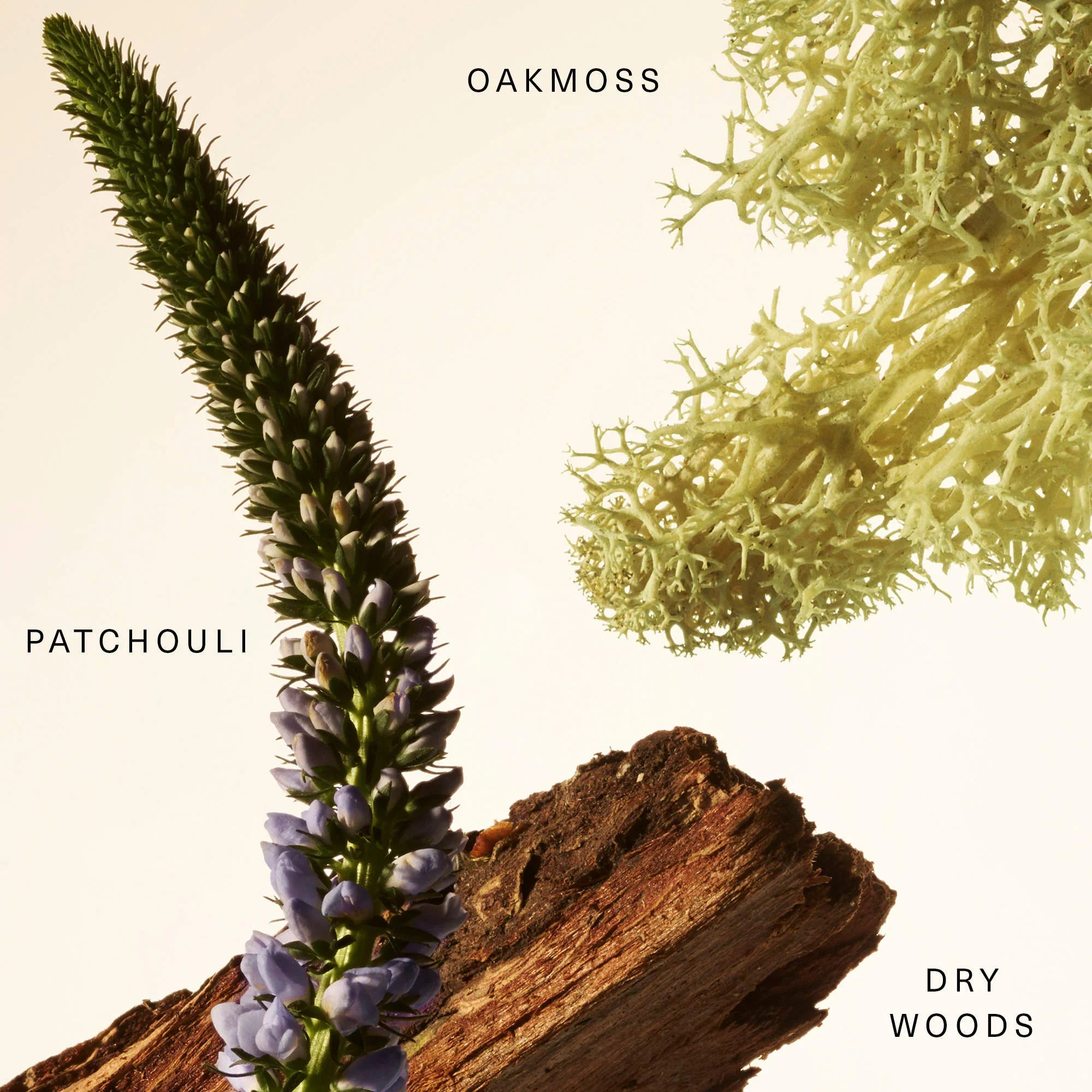 Rare Beauty - Rare Baume Parfumé Layering - réf Woody Oak - 20ml