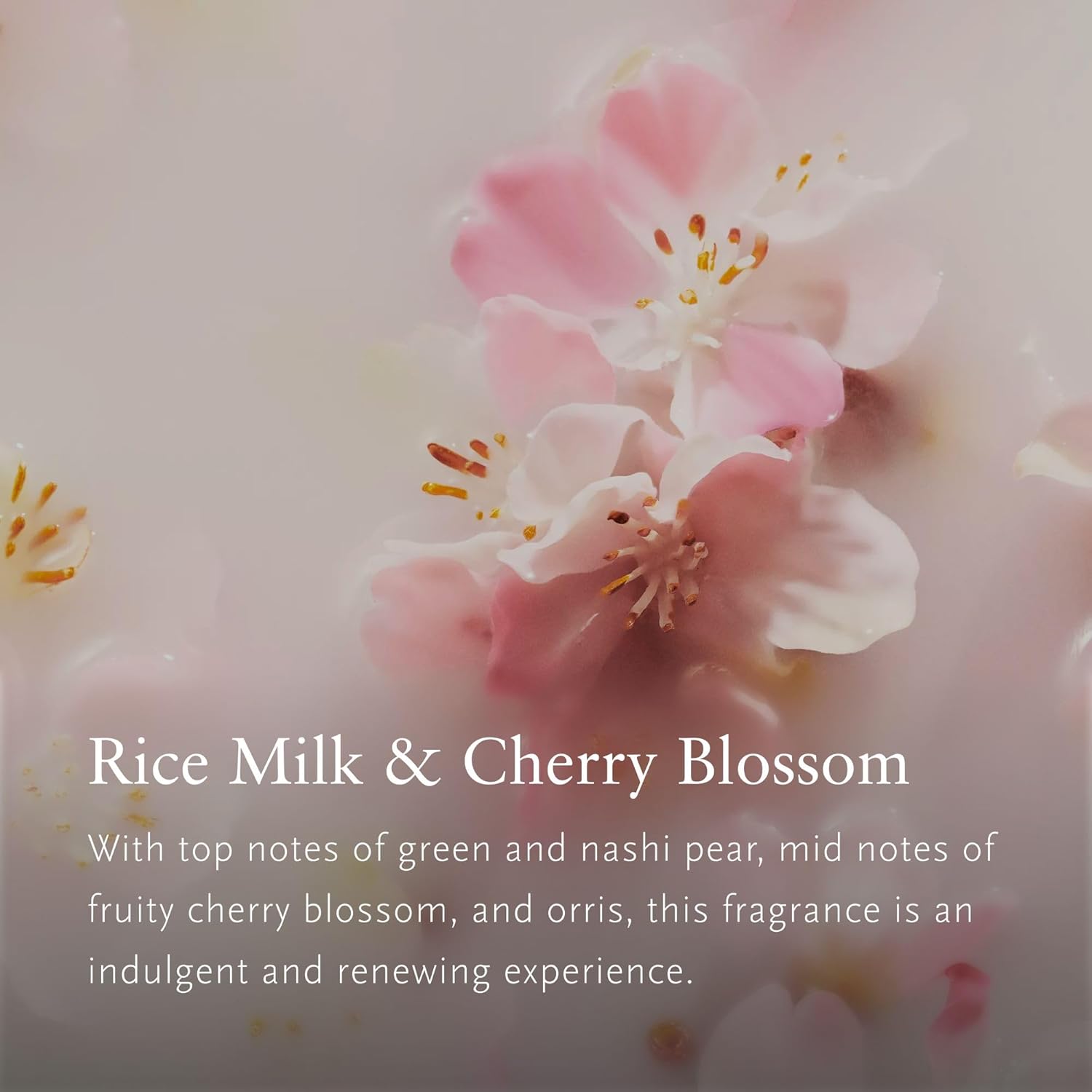 RITUALS - 2x Recharges Luxury Car Air Freshener - réf Cherry Blossom & Rice Milk