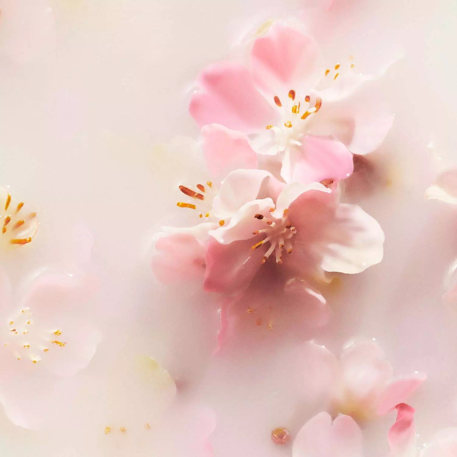 RITUALS - Luxury Car Air Freshener - réf Cherry Blossom & rice milk