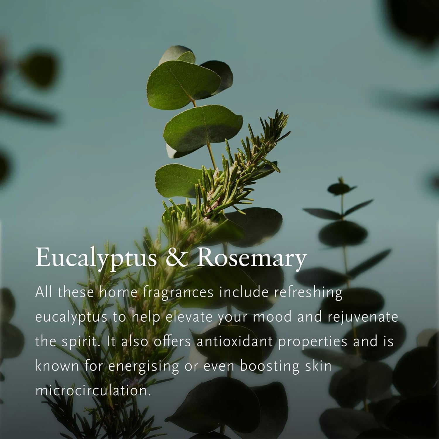 RITUALS - Luxury Car Air Freshener - réf Fresh Eucalyptus & Rosemary