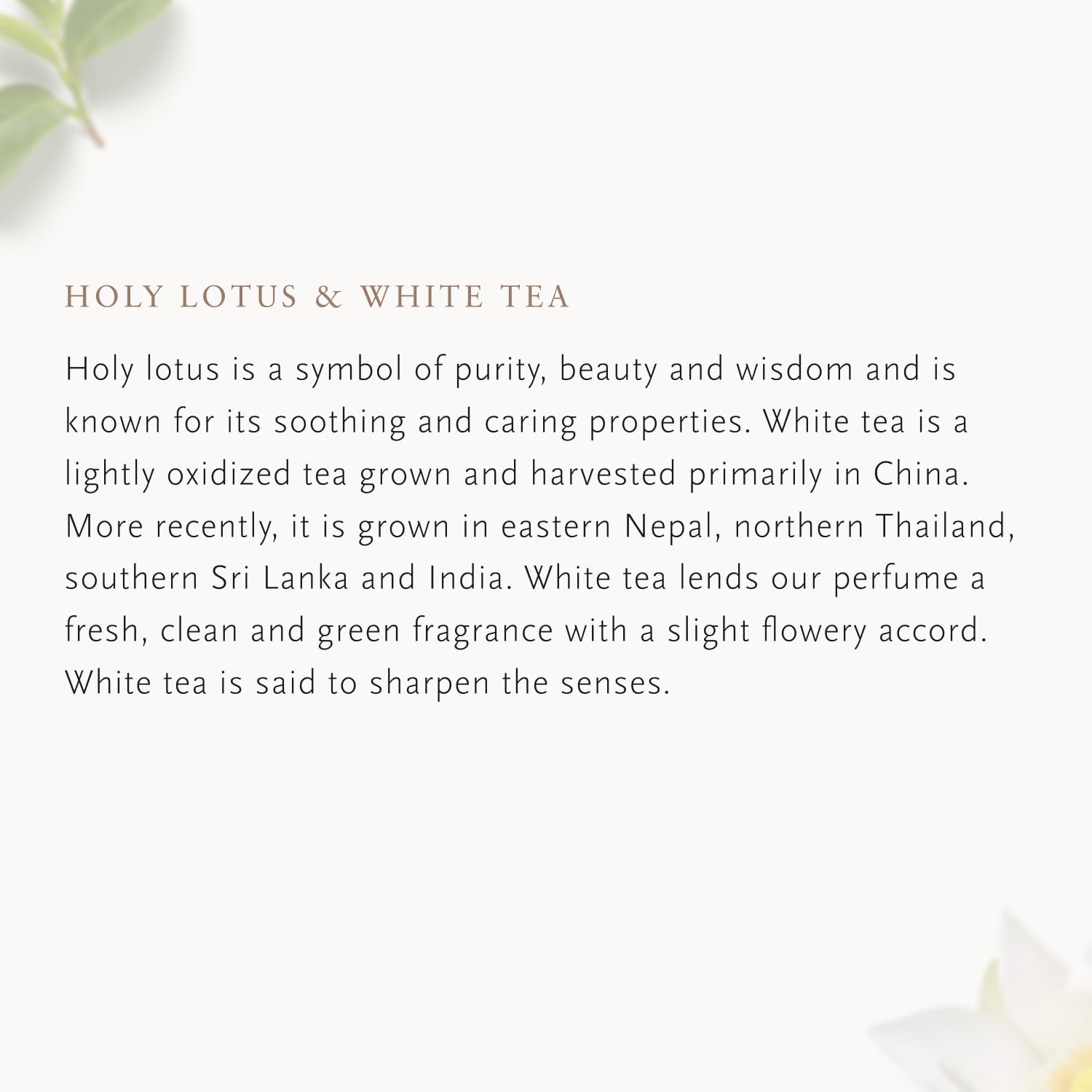 RITUALS - Luxury Car Air Freshener - réf Lotus Flower & white tea