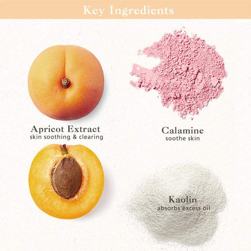 SKINFOOD - Apricot Food Mask - 120g